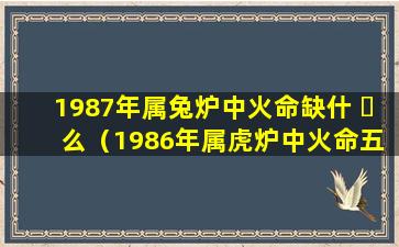 1987年属兔炉中火命缺什 ☘ 么（1986年属虎炉中火命五行缺什么）